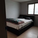 테라피민박 이미지