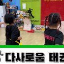 다사로움태권도 이미지