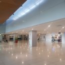 뉴월드비전 이미지