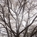 [광주 광산구]광주여대~동자봉~어등산 석봉(338m)~등용정~농악전수관~광주여대 다녀오기(24/4/2/화/오후) 이미지
