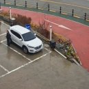 바닷가 하얀목화밭 이미지