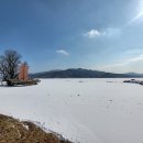 나은 강아지나라 | [경기 양평]애견동반 가능한 블러썸스파펜션 다녀온 후기(내돈내산)