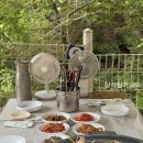 고둔치 솔가 이미지