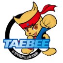 태비 태권도장 이미지