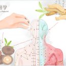 수인헬스케어 이미지