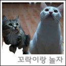 토탈피앤씨 이미지