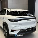 떠나자~세계로 | 보조금 받고 차박 떠나자! 씨라이언7 AWD 모델의 가격 경쟁력, 판매량, 오너 후기 심층 분석