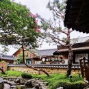 춤추는아리랑-꽃피우리라 | 전주 군산 가볼만한곳 한옥마을 철길마을 1박2일 알찬 여행