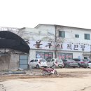 민물장어직판장천수산