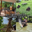 용보관 | 발리 가볼만한 곳 발리 동물원 Bali Zoo, 입장료, 짐보관, 동물 후기