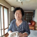 풍세면행정복지센터 Daum카페