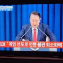 [카이로에 살아요] &lt;Week 1 : 카이로 적응 중 이상 무&gt;