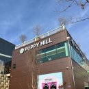퍼피힐(PUPPY HILL) 이미지