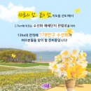 3/31~4/1/오션뷰 엘도라도리조트 선도수선화 임자도 튜율립[31인승리무진] 이미지