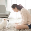 반려동물행동교정사 이미지