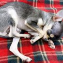 대전동부경찰서 가양지구대 이미지