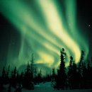 그린바이크 이미지