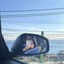 지코바치킨 영해점 | 올 겨울엔 분명히