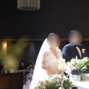 다시봄날 | 본식 스냅 셀렉 후기(다시봄날스냅)