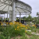 척산족욕공원 이미지