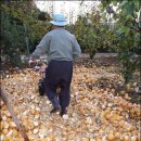 하나농산물 이미지