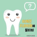 이재준치과의원 | 충청남도 태안군 임플란트 전문 치과 잘하는 곳 추천 BEST 5곳