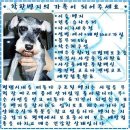 벤지