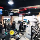 바디스트 이미지