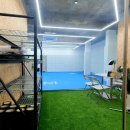 용인대 선샤인 유도 이미지