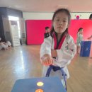 경희대삼성태권도장 이미지