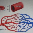 청춘과일 이미지
