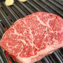 한우홀릭 이미지