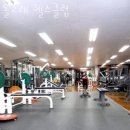 돌고래헬스클럽 이미지