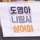 에코싸인