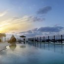 리벤시아 이미지