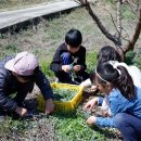 적량초등학교 이미지