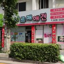 나르매애견 이미지