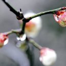 양우당 민박 이미지