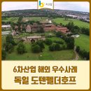 6차호프