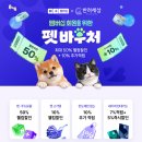 반려세상 고급형 강아지 기저귀 솔직 사용 후기