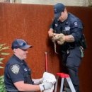 너의아파트 이미지