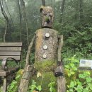 원주굽이길 16코스 매지순환둘레길 이미지