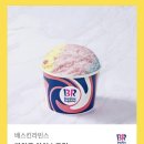 파인트 이미지