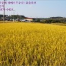 임봉보건진료소 이미지