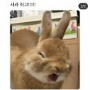 헤어짱 이미지