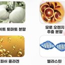 맑은샘바이오