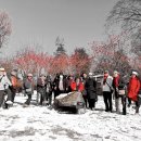 12/5(금) (벙개)용산가족공원&amp;국립중앙 박물관(진행자후기) 이미지