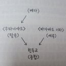 스프링거 이미지