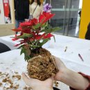 [일원3] 프리미엄 플라워&플로리스트 클래스 (B) | [양재 플라워 페스타] 축제 현장 함께해요🩷