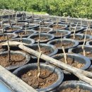 정환2농장 이미지